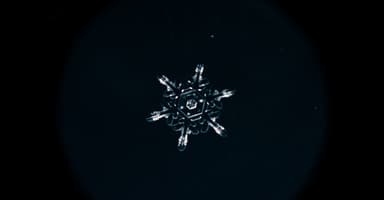 映画のモチーフ　雪の結晶