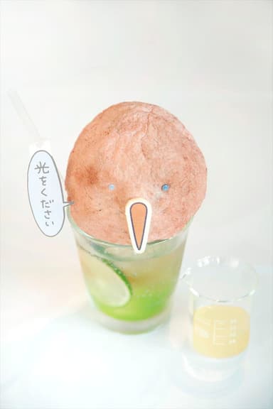 ウォンバットさんたちカフェ