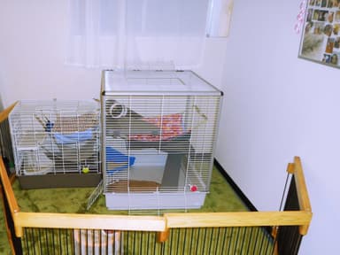 フェレット大型ケージ