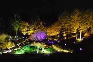 高橋匡太　Glow with Night Garden Project in ROKKO　提灯行列ランドスケープ