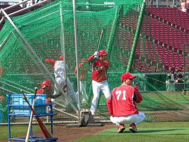 プロ野球、広島東洋カープ