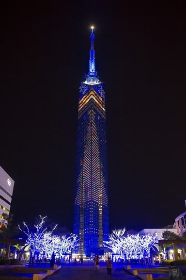 全長108mのクリスマスツリー