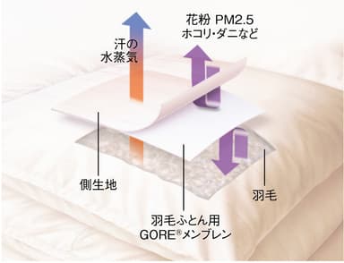 GORE(R)メンブレン 構造説明図