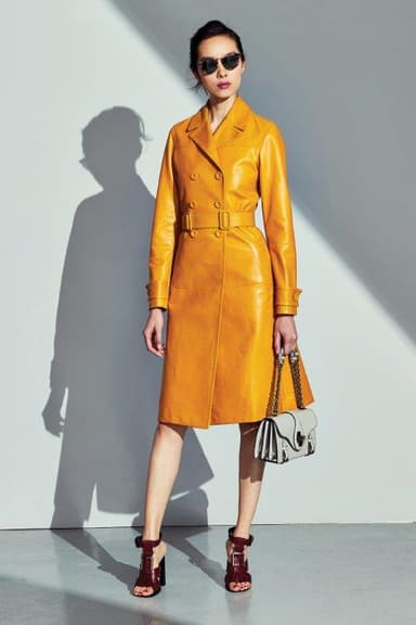 Look 14