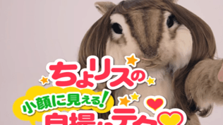 WEBムービー