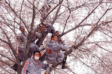 収録写真(2)