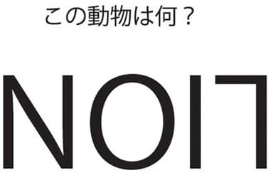 ビギナー編　サンプル謎