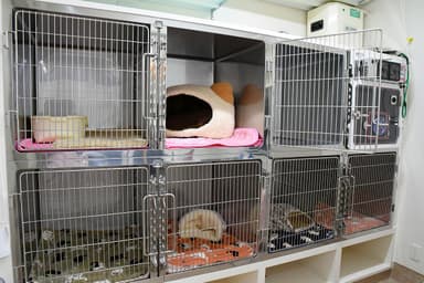 入院・ペットホテル