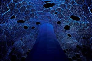 六甲山光のアート