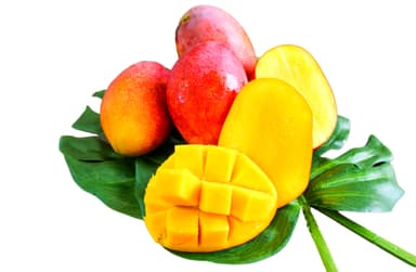 「今帰仁マンゴー」カットイメージ