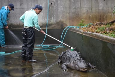 過去に実施した大掃除の様子1