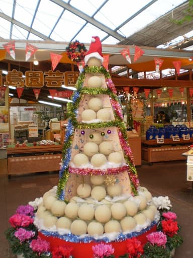 西島園芸団地(メロンツリー)