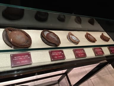 店内には干アワビのサンプルを展示。左の一番大きいサイズだと1個88万円！アワビが“黒のダイヤモンド”と言われるゆえんの価格