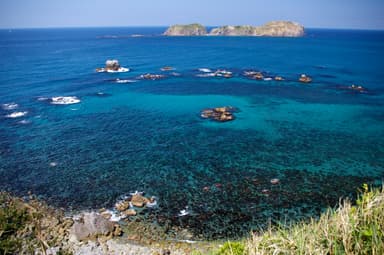 新島