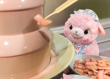 「ピンクジンジャーチョコファウンテン」イメージ2