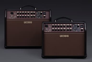 『Acoustic Singer Pro』(120W、左)と『Acoustic Singer Live』(60W、右)