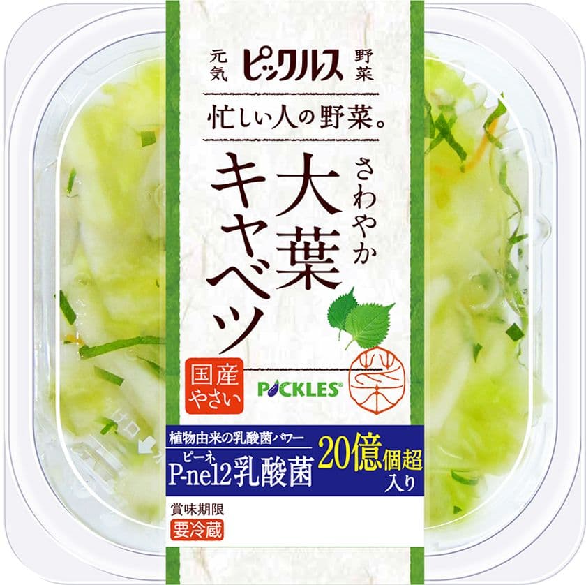 独自の乳酸菌を20億個以上配合した
「大葉キャベツ」2月1日新発売