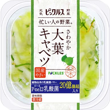 大葉キャベツ