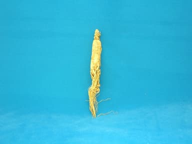 ニンジン抽出液