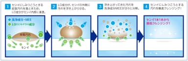 LO(リフトアウト)成分の働き