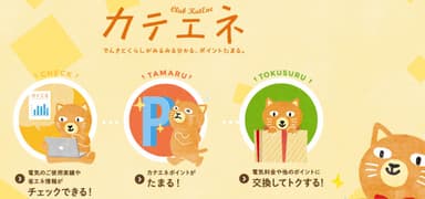 カテエネ　サイトイメージ