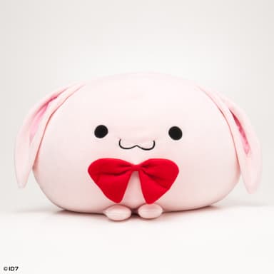 きなこ(前)
