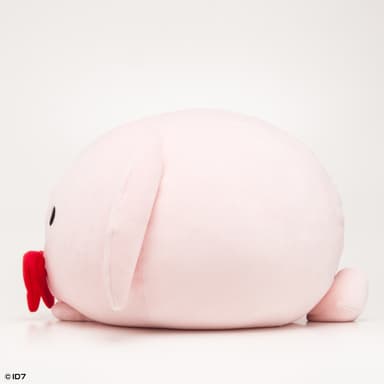 きなこ(横)