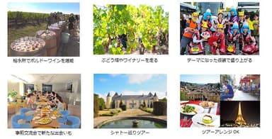メドックマラソン＆旅工房ツアーの魅力ポイント