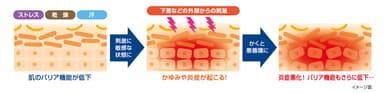 かゆみの原因について