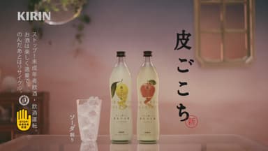 皮ごこち(2)