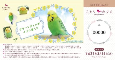グリーンジャンボインコ宝くじ 3