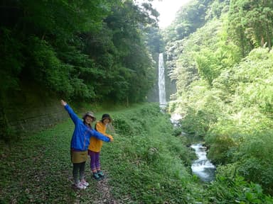 日之影町の森の中を歩く森林セラピーの様子 3