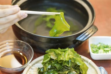 食材フェア3