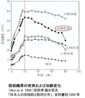 筋組織厚の発育および加齢変化　(Abe et al. 1995)安部孝&#44;福永哲夫  「日本人の体脂肪と筋肉分布」　杏林書院&#44;1995年