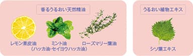 天然ハーブ配合