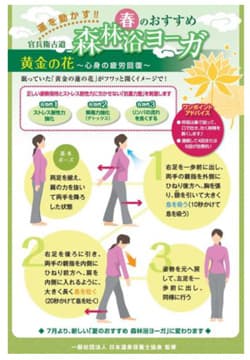 森林浴ヨーガ