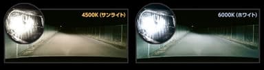 2色のカラー展開