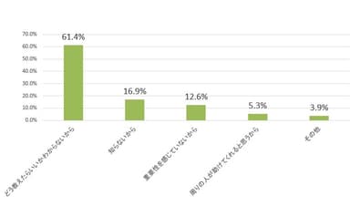 いいえ：それはなぜですか