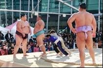 ちびっこ相撲