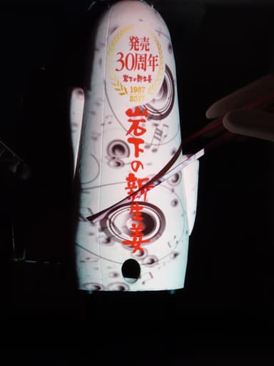 岩下の新生姜 千本桜プロジェクションマッピング(1)