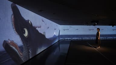 「江戸の秘密展」コンテンツ