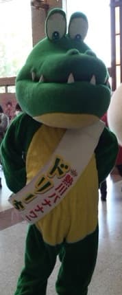 ドリーちゃん