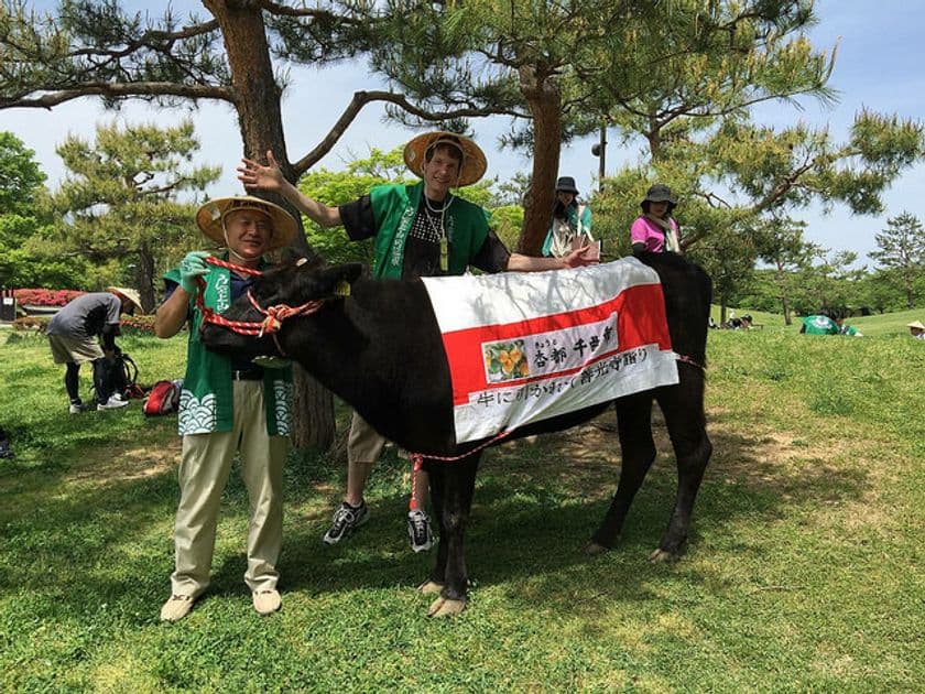 長野県千曲市で春の日差しを浴びながら善光寺までウォーキング！
『第36回 牛に引かれて善光寺詣り2017』を5月7日に開催