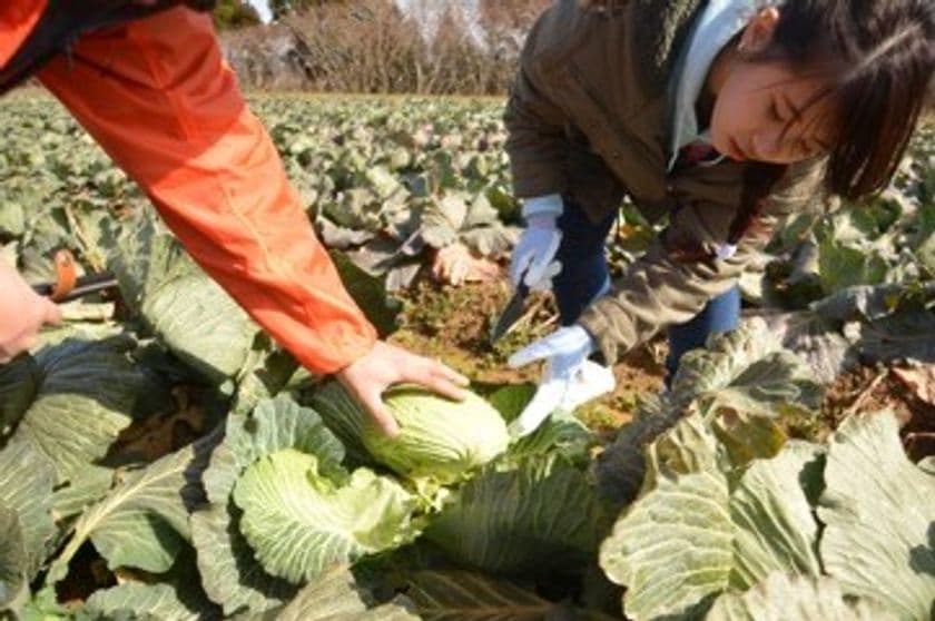 〈ツアーレポート〉福井県坂井市・あわら市にて、
日本の食を学び体験する滞日外国人対象の
アグリツーリズムモニターツアー
3月2日（木）3日（金）開催
