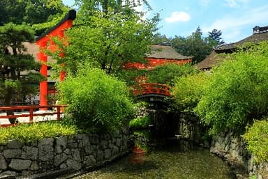 糺の森（下鴨神社）