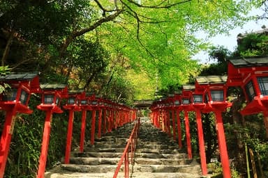 叡山電車・もみじのトンネル