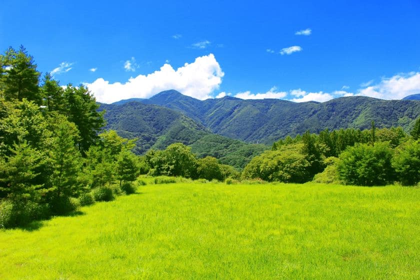 富裕層向け家賃保証サービスを4月1日開始　
地方移住・セカンドハウス等の賃貸物件に最適！