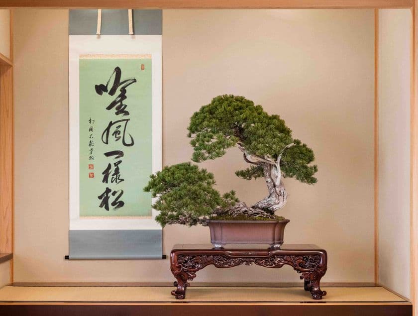 【大会開幕まで4週間】
『第8回世界盆栽大会inさいたま』
サブ会場でも様々なイベントを開催いたします