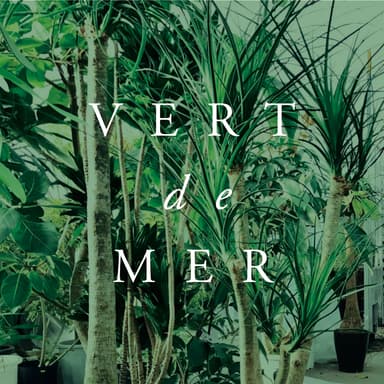 VERT de MER 2