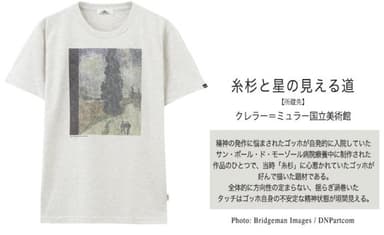 糸杉と星の見える道